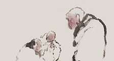 中医罐疗师 招生简章