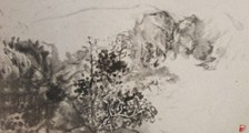 中医师 招生简章